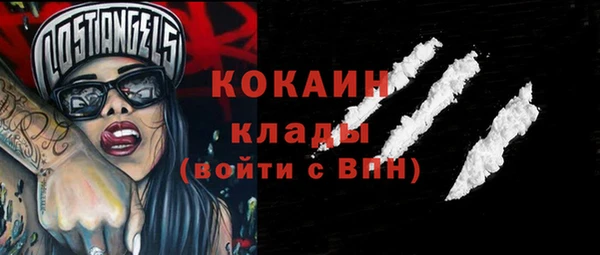 сатива Карталы